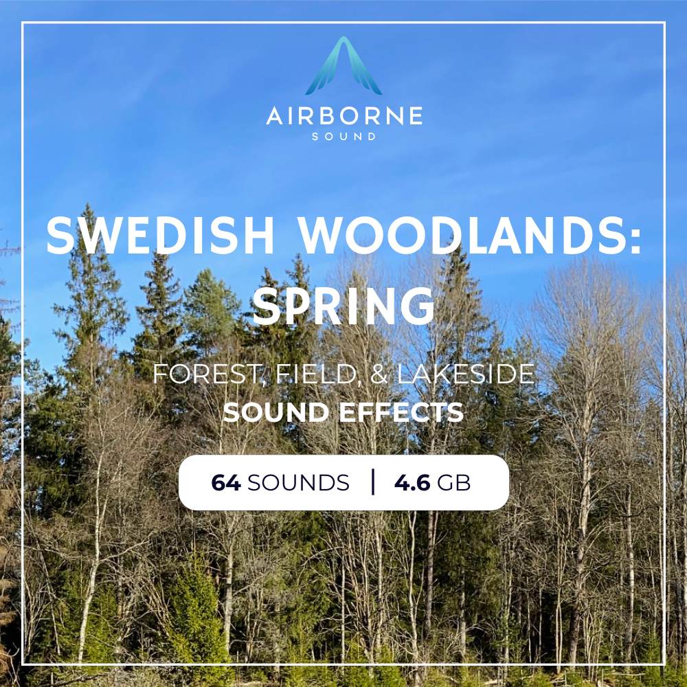 Swedish Woodlands: Spring