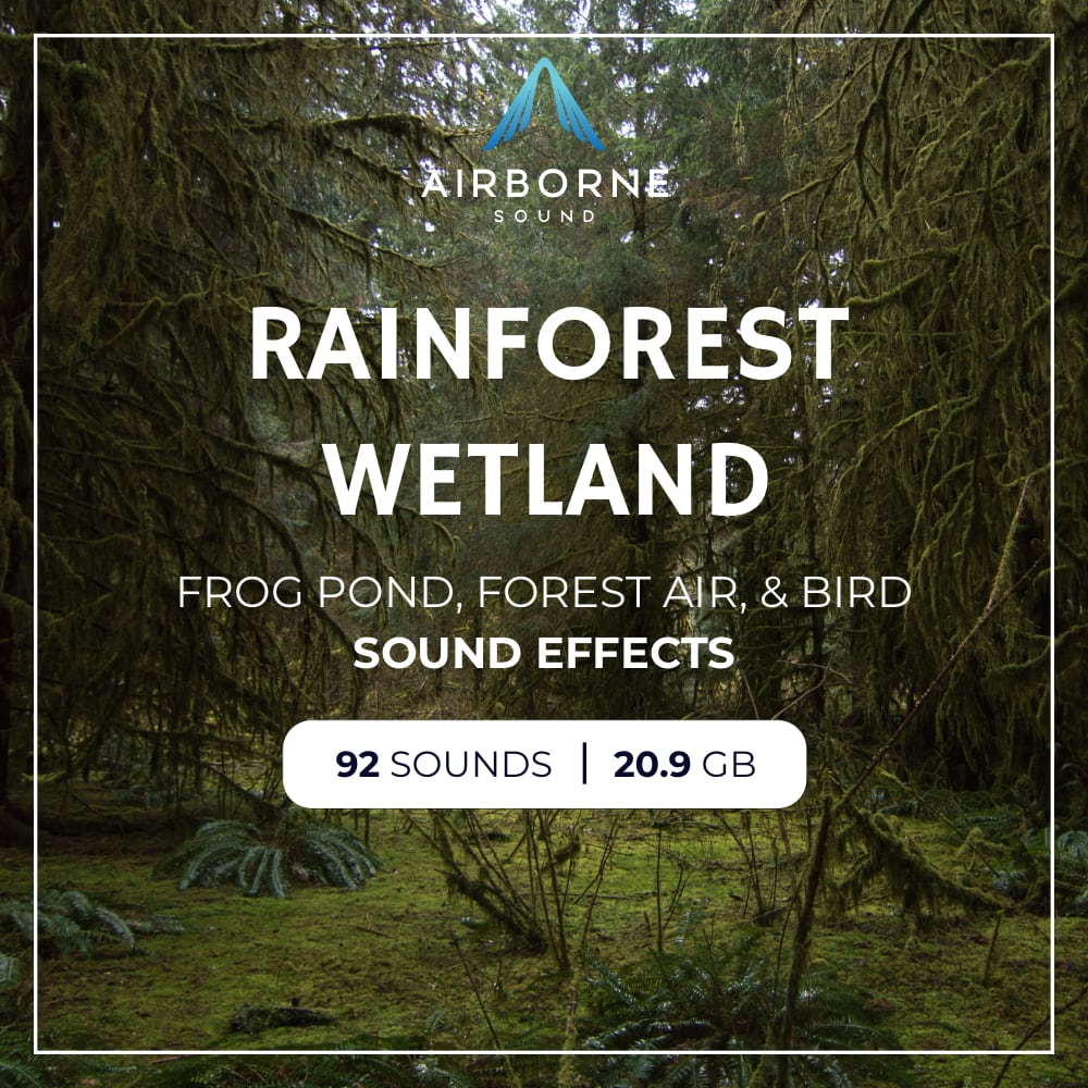 Rainforest Wetland