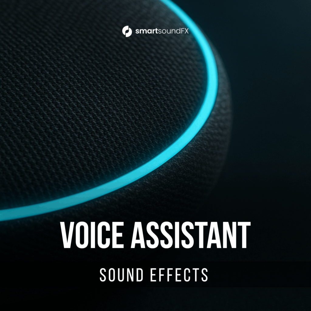Voice Assistant