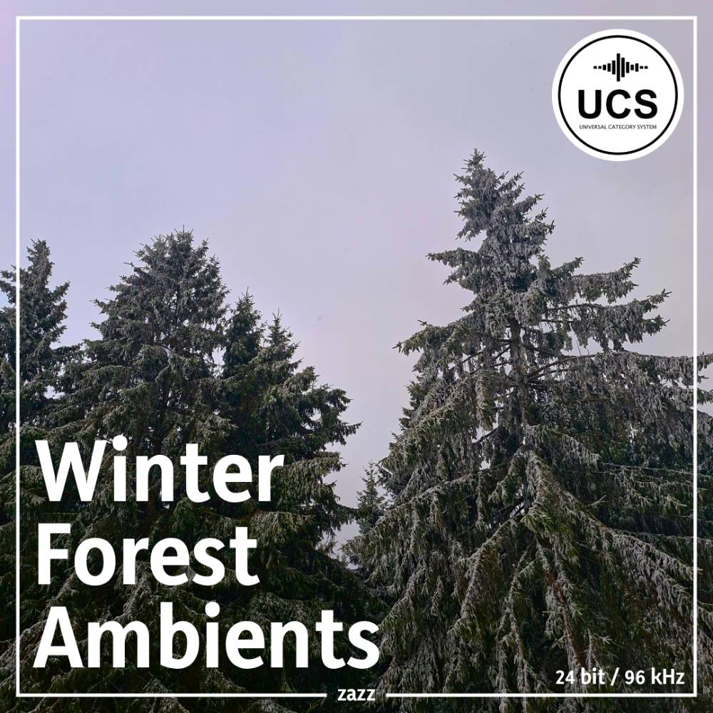 Winter Forest Ambients