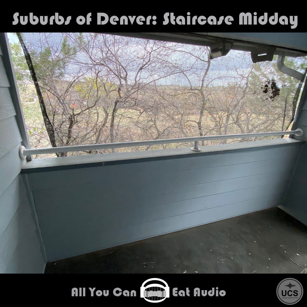 Suburbs Of Denver: Staircase Midday