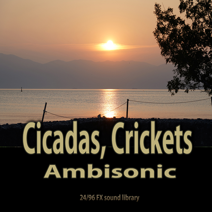 Ambisonic, Cicadas, Crickets, Insects