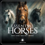 Essential Horses sound library cover by Fusehive