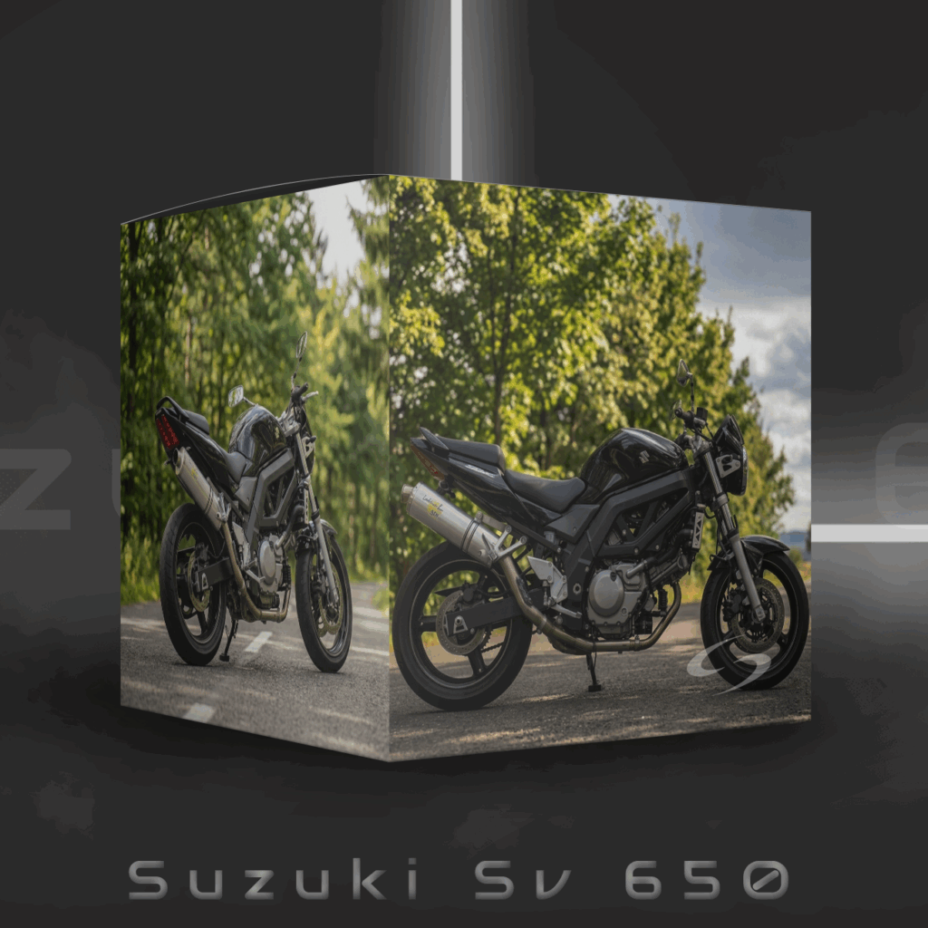 Suzuki SV 650