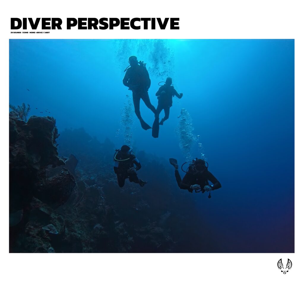 Diver Perspective