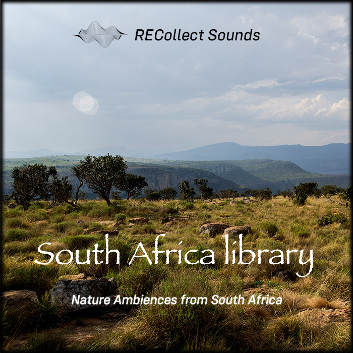 South Africa Library