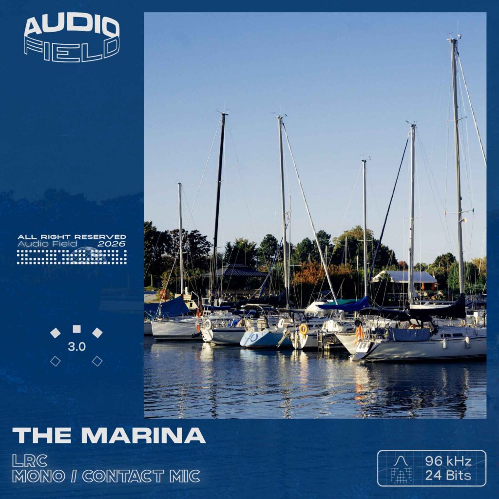 The Marina