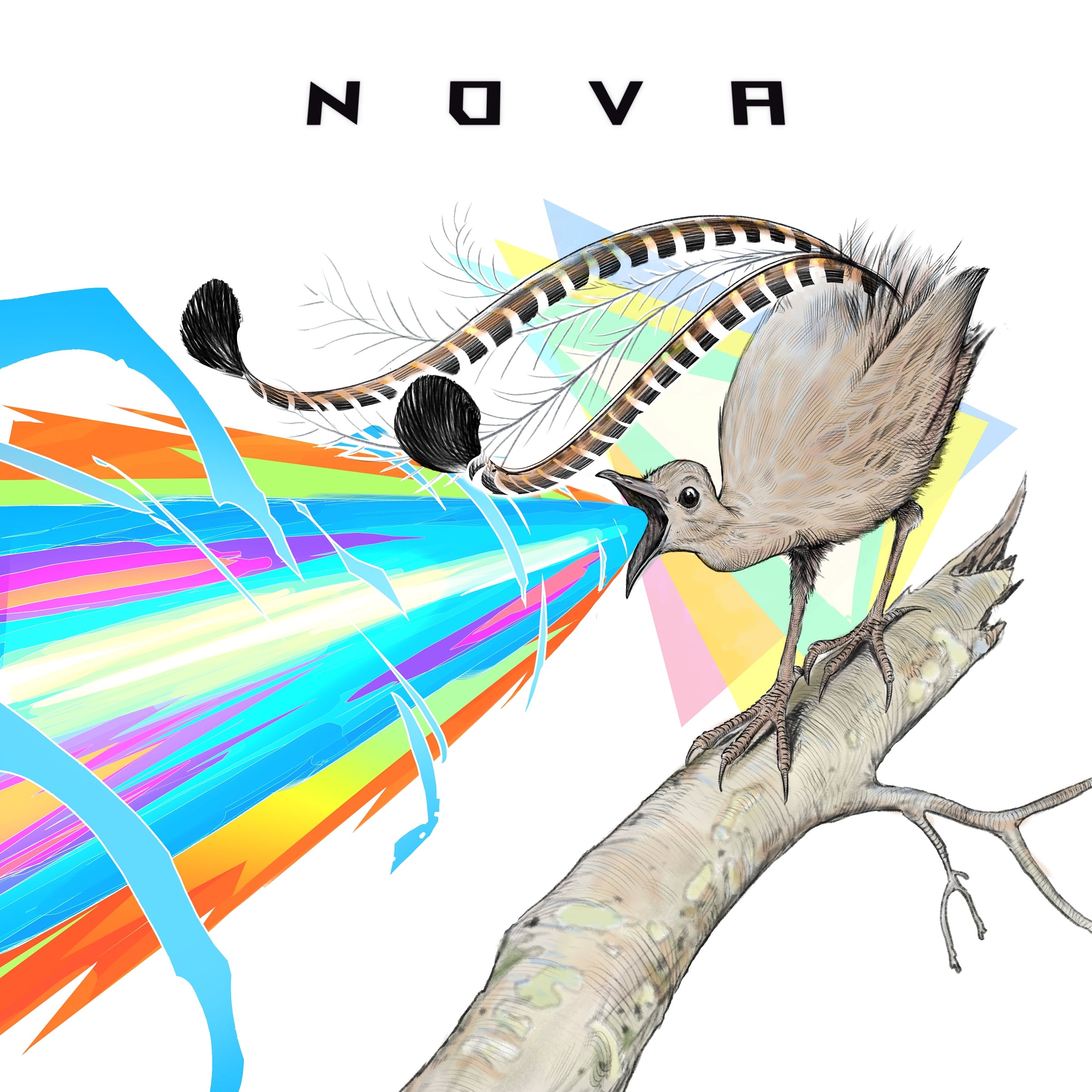Nova